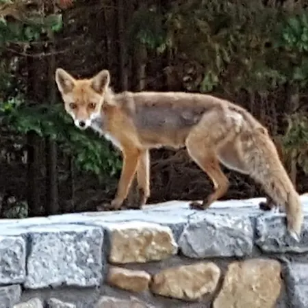 Playasonabia Appartement *