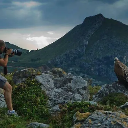 Playasonabia * Oriñon