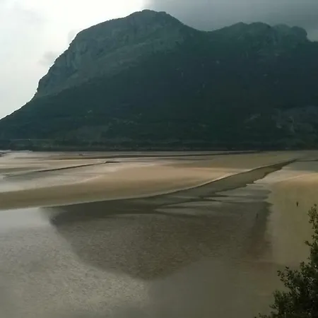 Apartman Playasonabia *