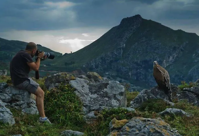 Playasonabia * Orinon